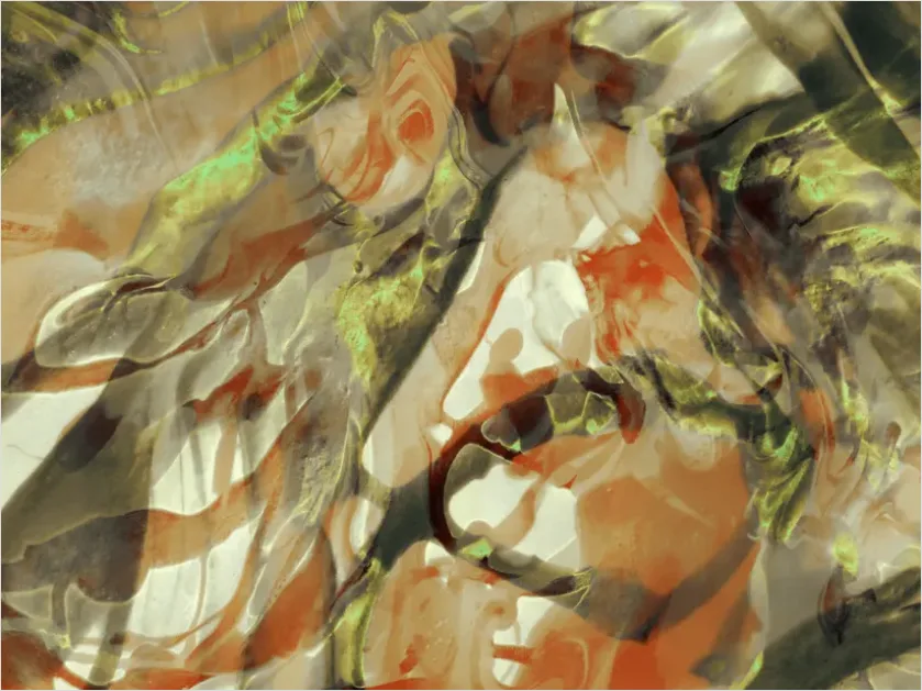 Detail Album Cover Illustration Art Mockup Number 8
