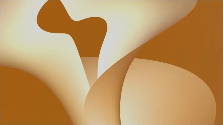 Detail Boho Abstract Art Illustration Neutral Tones Number 16