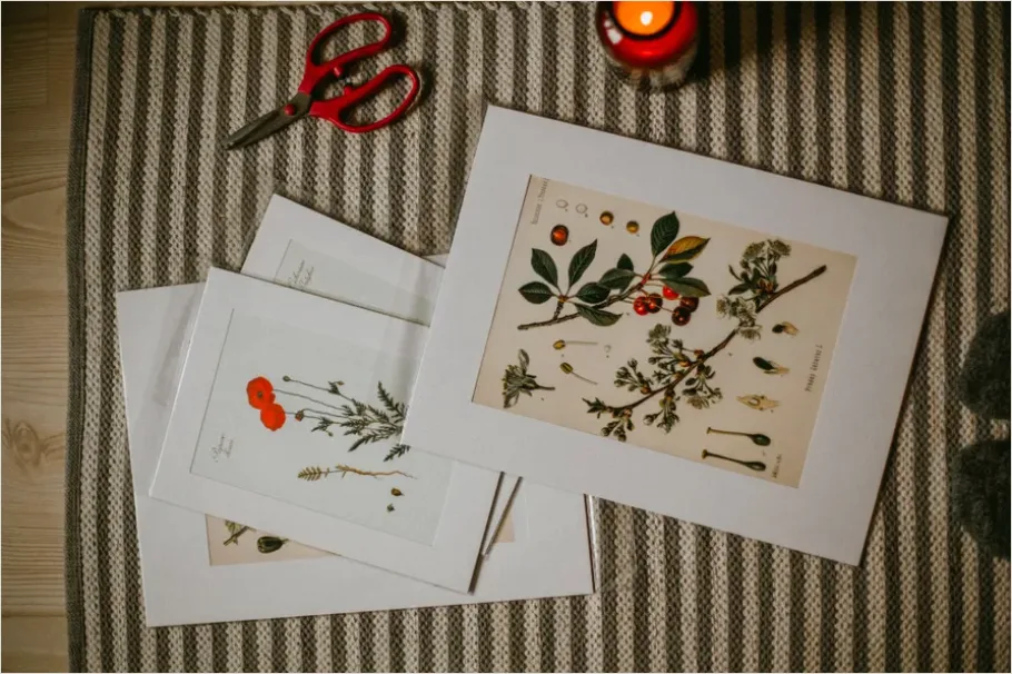 Detail Botanical Line Art Illustration Print Number 3