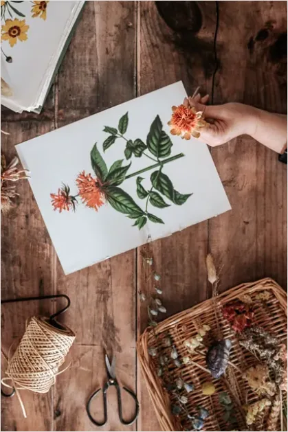 Detail Botanical Line Art Illustration Print Number 5