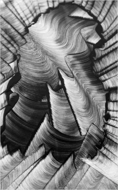 Detail Brush Stroke Texture Background White Number 13