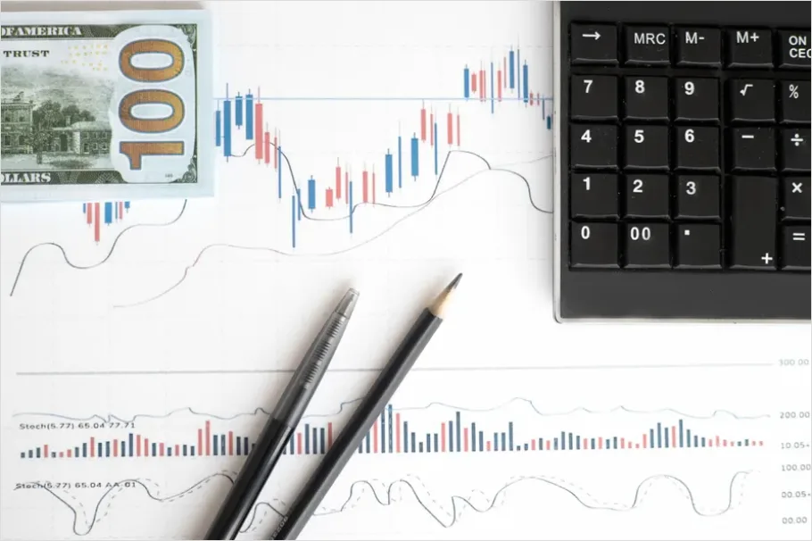 Detail Business Valuation Analysis Spreadsheet Photo Number 8