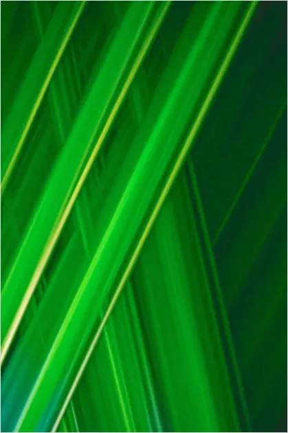 Detail Carbon Fiber Texture Background Diagonal Number 13