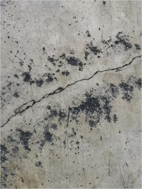 Detail Cement Floor Texture Background Top View Number 2