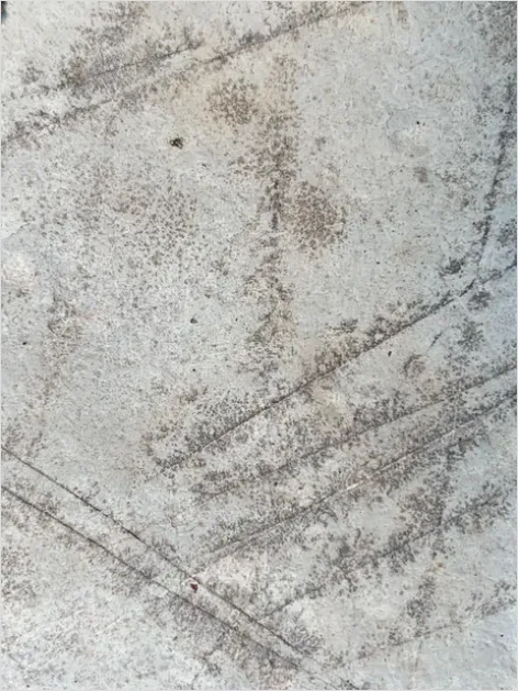 Detail Cement Floor Texture Background Top View Number 12