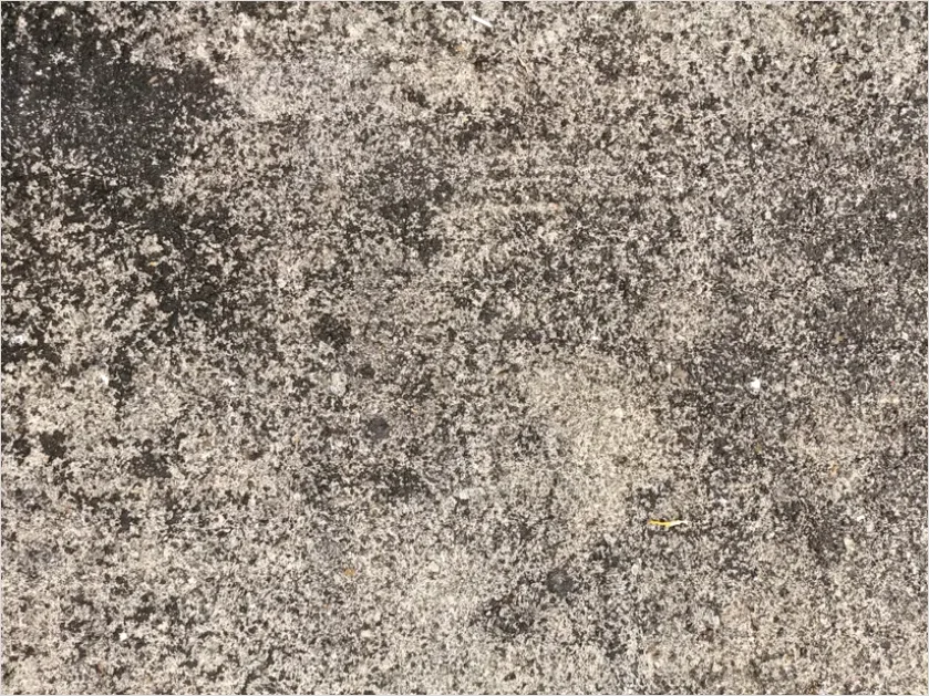 Detail Cement Floor Texture Background Top View Number 4