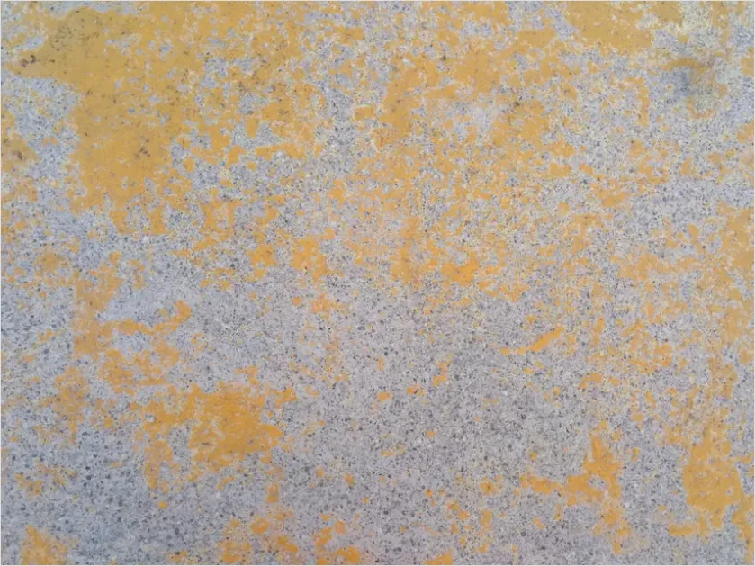 Detail Cement Floor Texture Background Top View Number 8