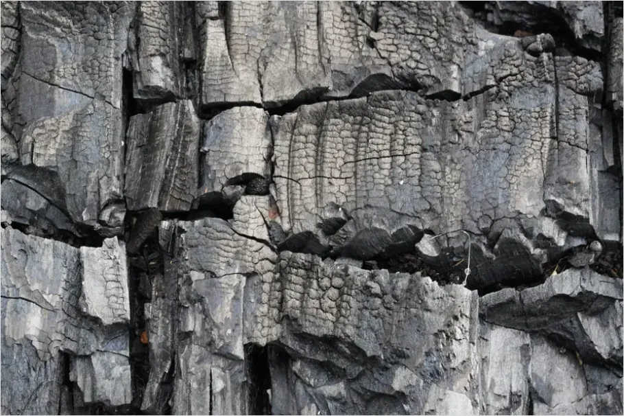 Detail Charcoal Texture Background Grunge Number 13