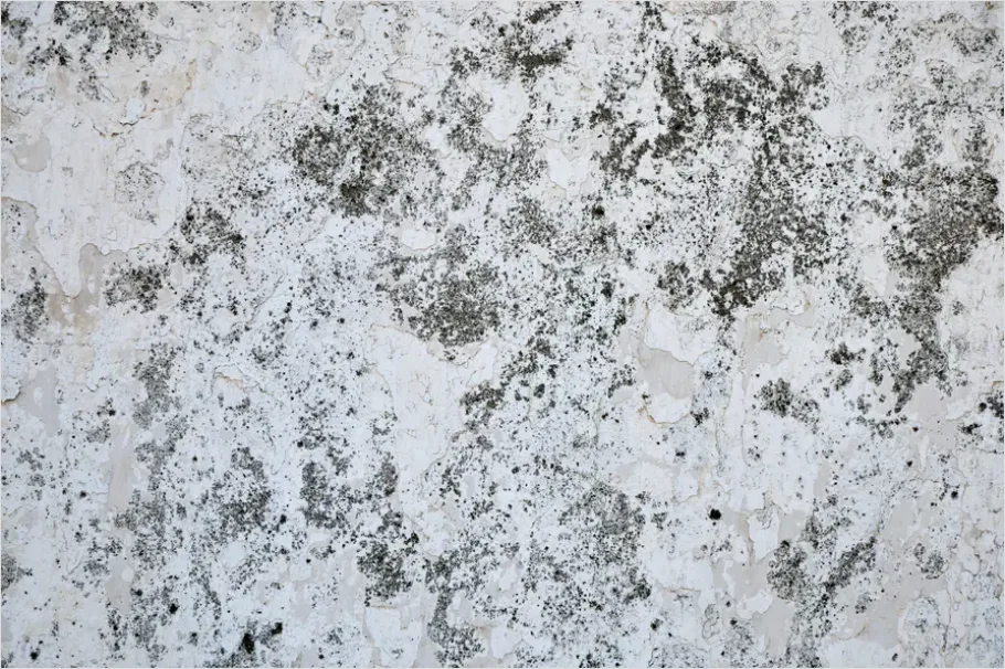 Detail Charcoal Texture Background Grunge Number 4
