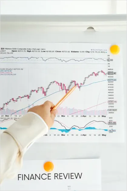 Detail Consultant Presenting Financial Strategy Photo Number 2