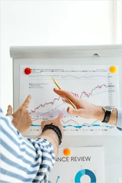 Detail Consultant Presenting Financial Strategy Photo Number 11