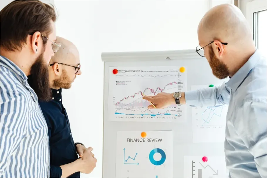 Detail Consultant Presenting Financial Strategy Photo Number 13