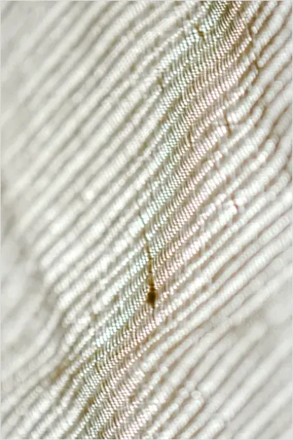 Detail Cotton Canvas Texture Background Natural Number 3