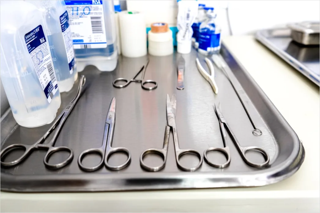 Detail Dental Cleaning Tools Tray Flat Lay Number 10