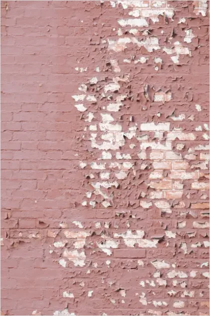 Detail Distressed Brick Wall Texture Background Number 11
