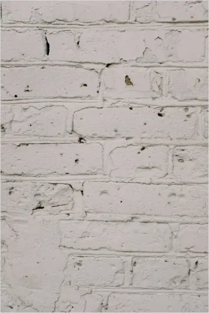 Detail Distressed Brick Wall Texture Background Number 15