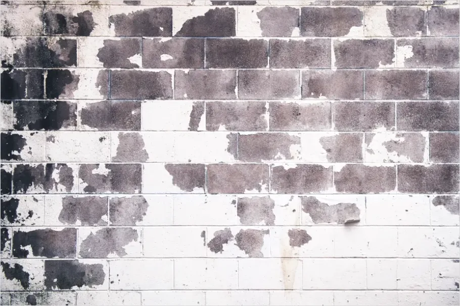 Detail Distressed Brick Wall Texture Background Number 4