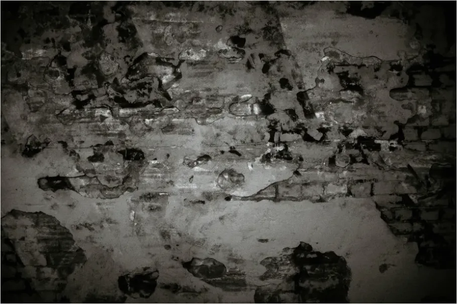 Detail Distressed Brick Wall Texture Background Number 5