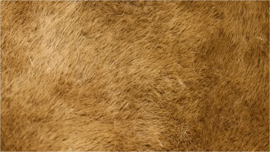 Detail Felt Fabric Texture Background Soft Number 10