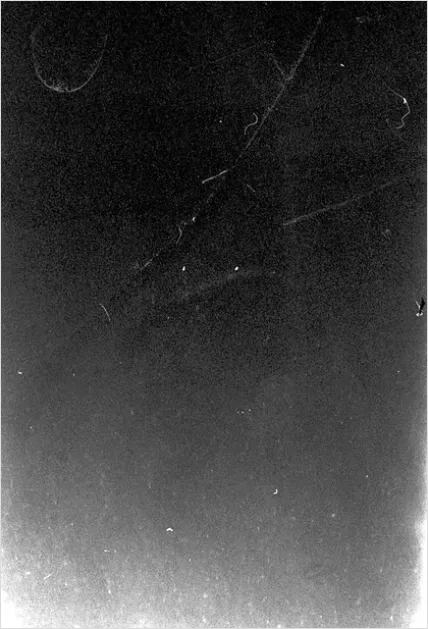Detail Film Grain Texture Overlay Background Number 3
