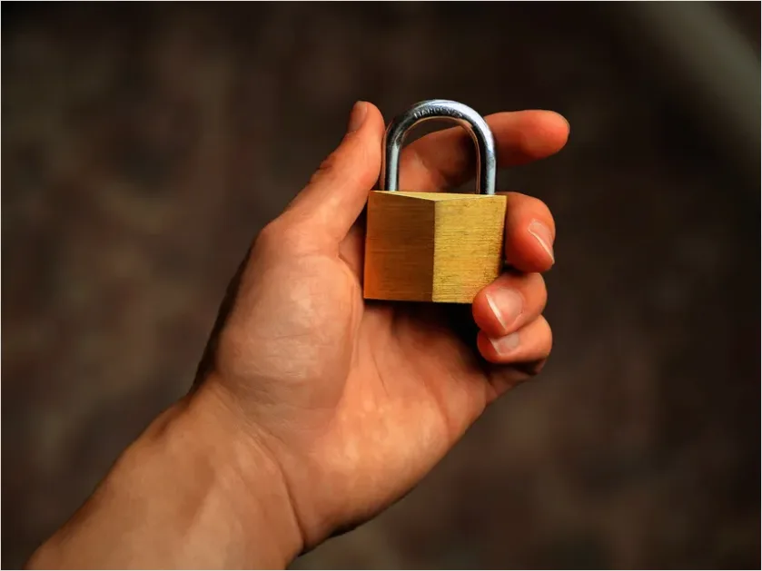 Detail Financial Security Concept Lock And Money Photo Number 12