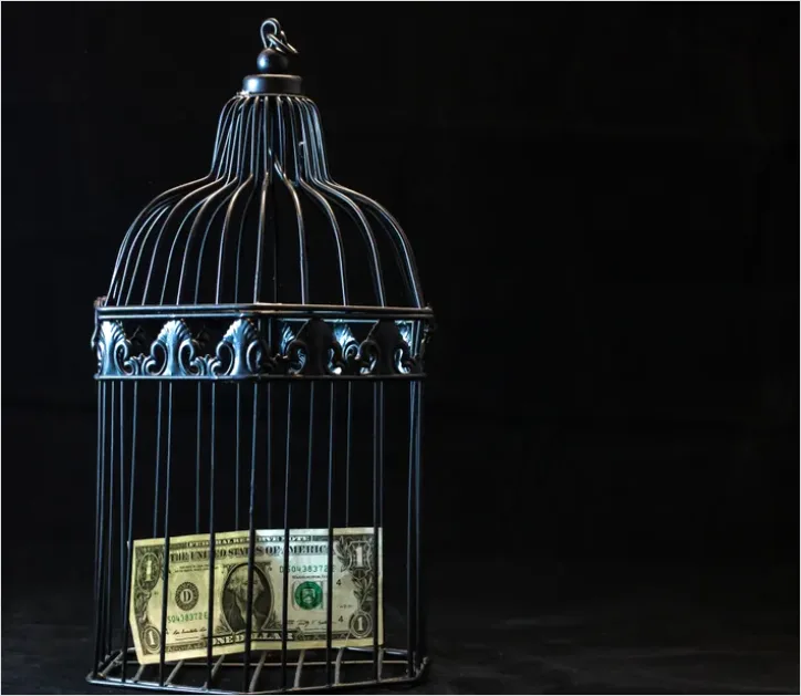Detail Financial Security Concept Lock And Money Photo Number 16