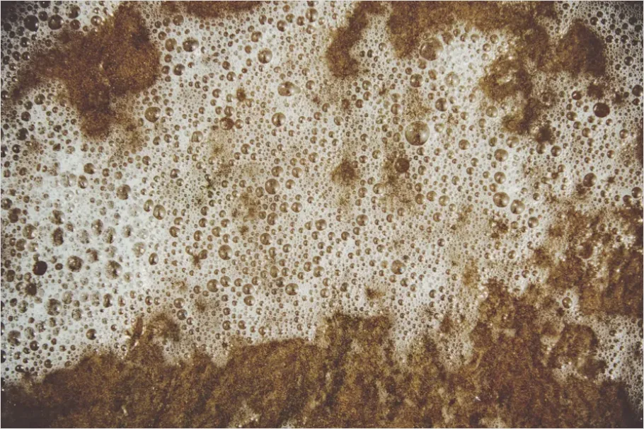 Detail Foam Texture Background Macro Close Up Number 16