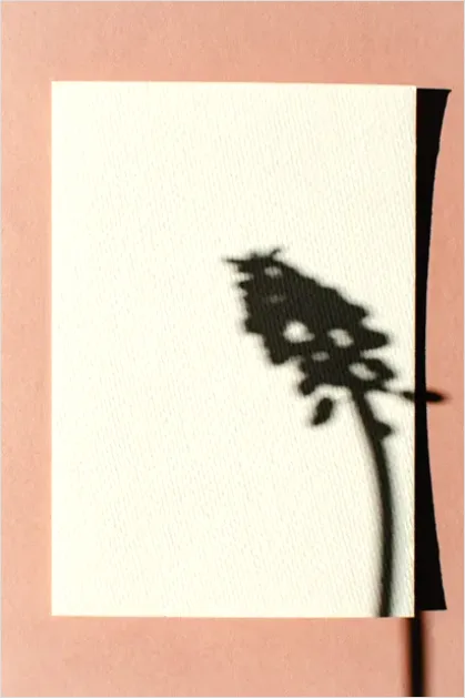 Detail Hard Light Shadow Background Minimal Number 15