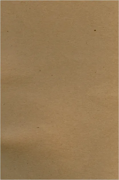Detail Kraft Paper Texture Background Brown Number 6