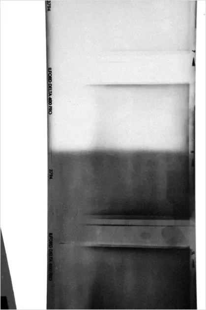 Detail Light Leak Overlay Texture Film Number 12