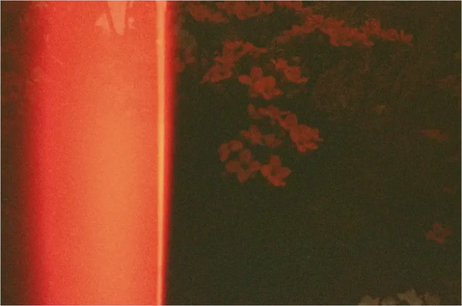 Detail Light Leak Overlay Texture Film Number 15
