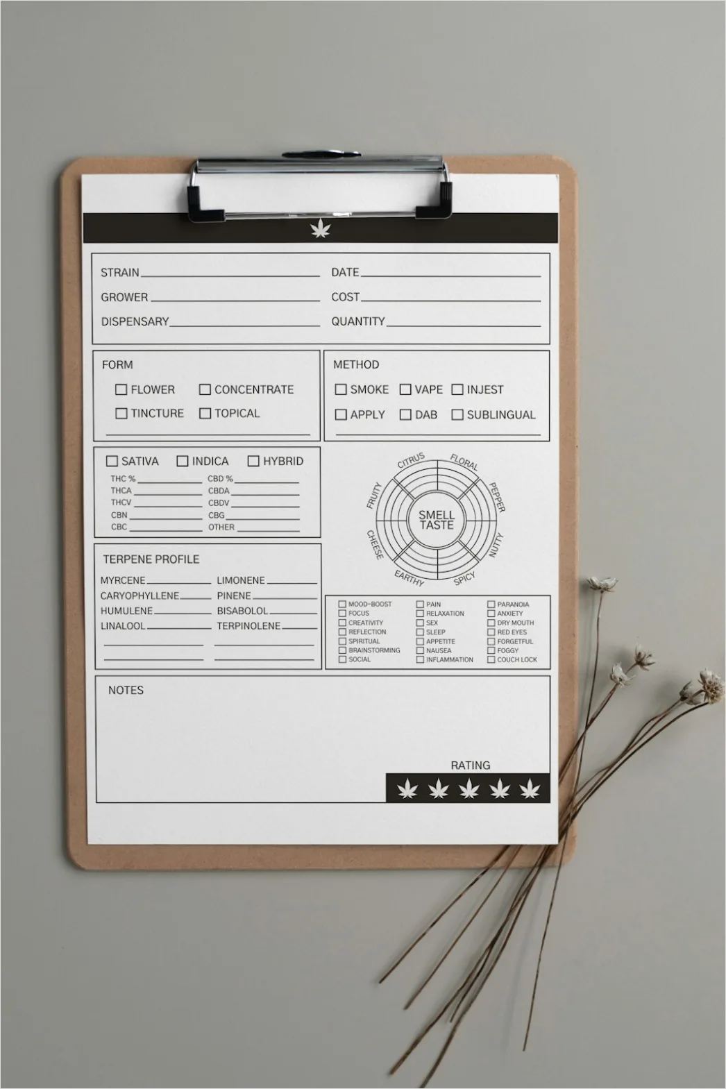 Detail Medical Imaging Report On Clipboard Number 8