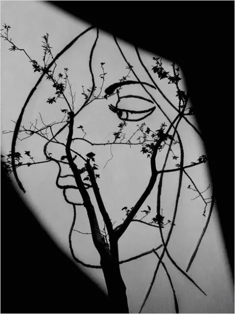 Detail Minimalist Line Art Drawing Number 13
