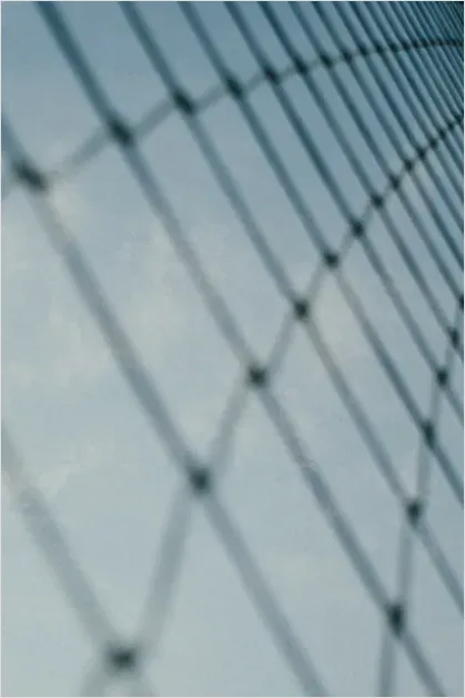 Detail Net Texture Background Pattern Abstract Number 15