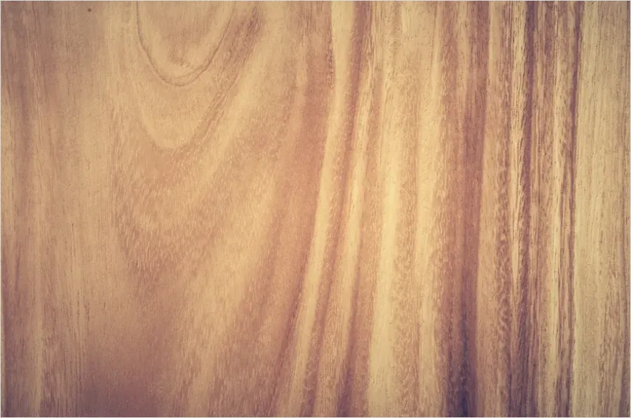 Detail Oak Wood Grain Texture Macro Number 13