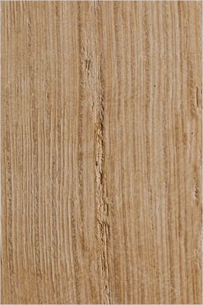 Detail Oak Wood Grain Texture Macro Number 3