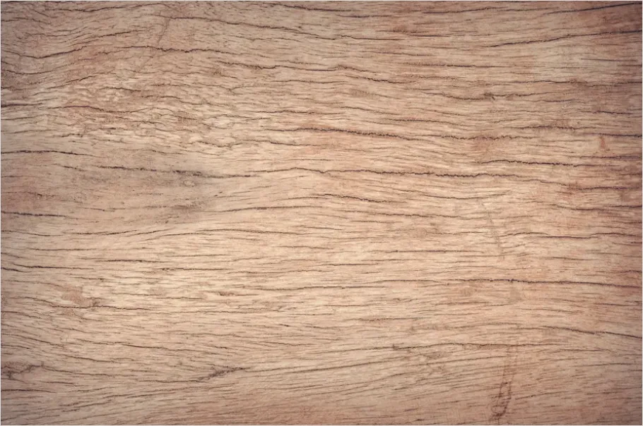 Detail Oak Wood Grain Texture Macro Number 8