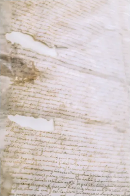 Detail Old Parchment Texture Background Antique Number 12
