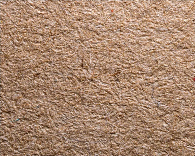 Detail Paper Fiber Texture Background Macro Number 3