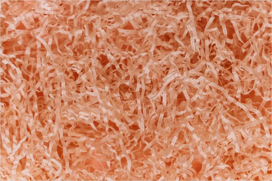 Detail Paper Fiber Texture Background Macro Number 4