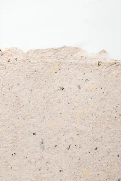 Detail Paper Fiber Texture Background Macro Number 8