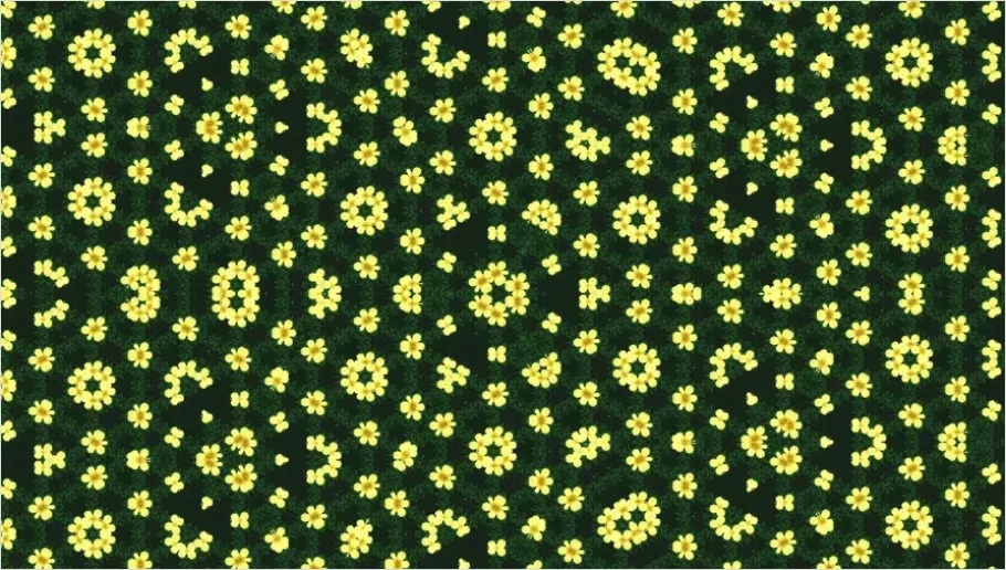 Pattern Design Seamless Repeat Illustration 9dd8