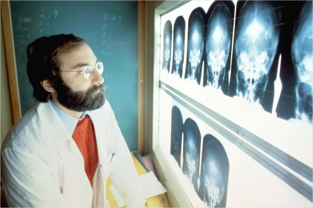 Detail Radiologist Analyzing Scans Workstation Number 14