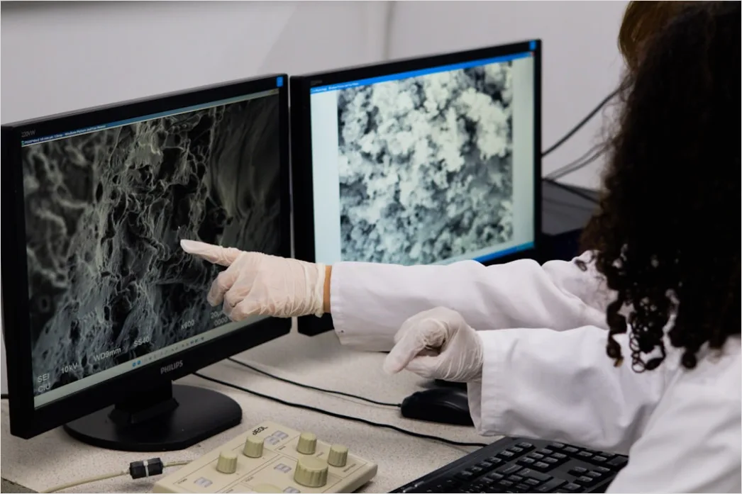 Detail Radiologist Analyzing Scans Workstation Number 10