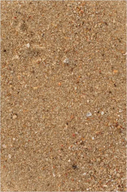 Sand Texture Background Top View 8794