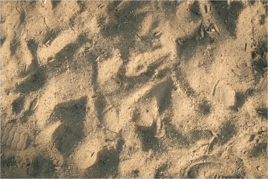 Detail Sand Texture Background Top View Number 2