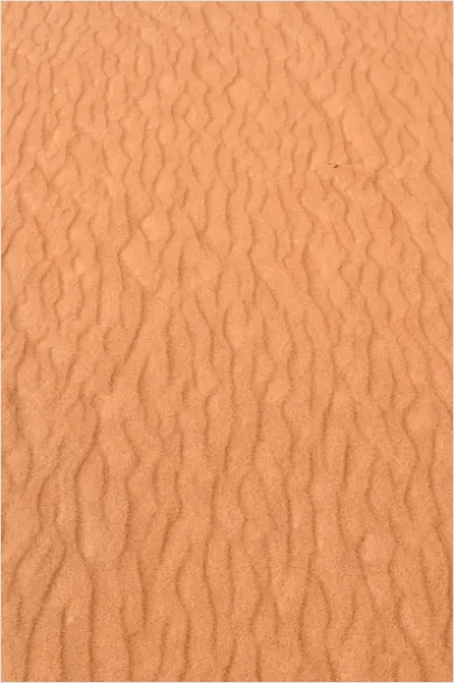 Detail Sand Texture Background Top View Number 13