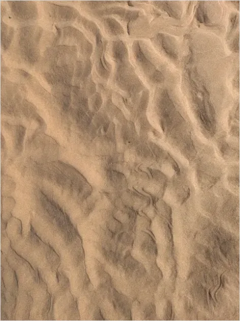Detail Sand Texture Background Top View Number 15
