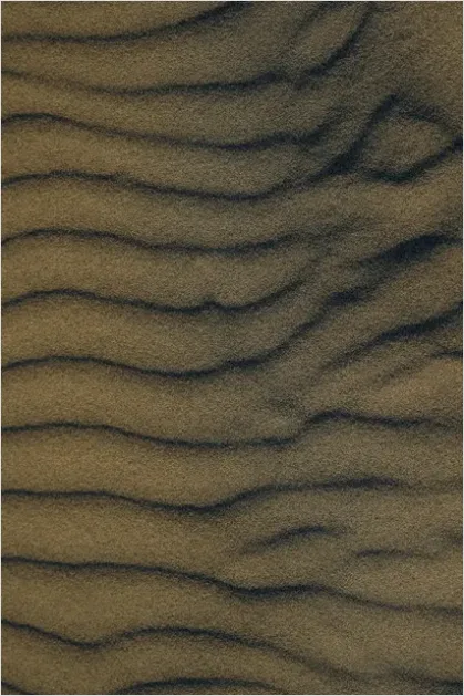 Detail Sand Texture Background Top View Number 6