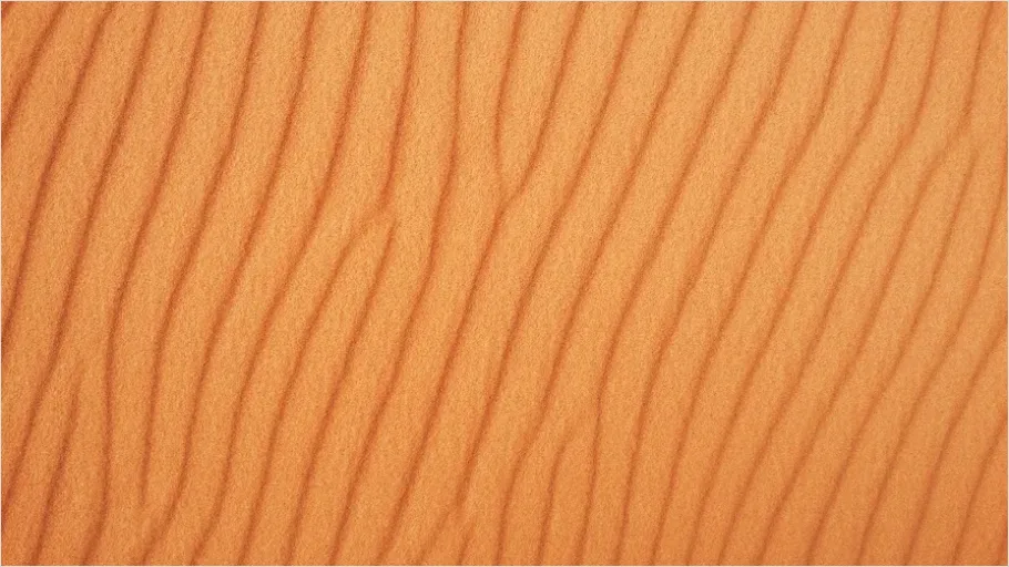 Detail Sand Texture Background Top View Number 7